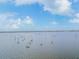 Boats are anchored in the calm waters of the bay at 6075 Shore S Blvd # 501, Gulfport, FL 33707