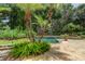 Inviting pool with palm trees, lush landscaping, and stone accents at 2901 Leprechaun Ln, Palm Harbor, FL 34683