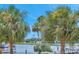 Scenic waterfront view with lush palm trees, boats, and calm waters at 10365 Paradise Blvd # 24, Treasure Island, FL 33706