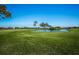 Golf course with pond, palm trees, and blue sky at 2323 Feather Sound Dr # 202, Clearwater, FL 33762