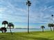 Beautiful waterfront views with lush green grass and mature palm trees at 100 Oakmont Ln # 301, Belleair, FL 33756