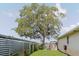 A lush tree shades the grassy yard enclosed by a wooden fence, near the side of a house at 1172 Chelsea Ln, Holiday, FL 34691