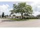 A picturesque street view featuring a well-manicured lawn and the shade from a mature tree at 1172 Chelsea Ln, Holiday, FL 34691