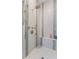 Spa-like shower with multiple shower heads and mosaic tile at 709 Manns Harbor Dr, Apollo Beach, FL 33572