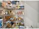 Well-organized pantry with ample shelving for storage at 21811 Lyonia Ln, Land O Lakes, FL 34637
