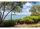 Scenic waterfront view with lush vegetation and bridge at 1515 Pinellas Bayway S # 65, St Petersburg, FL 33715