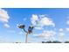 Osprey perched atop a light post against a blue sky at 1515 Pinellas Bayway S # 65, St Petersburg, FL 33715