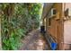 Side yard with walkway and lush landscaping at 1618 Valencia St, Clearwater, FL 33756