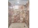 Large walk in shower with grab bar at 19029 Us Highway 19 N # 12B, Clearwater, FL 33764