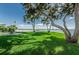 Beautiful lush green lawn with mature trees, a swing, and bay views in this lovely bayside property at 4751 Baywood Point S Dr, Gulfport, FL 33711