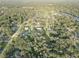 Aerial view showing property, neighborhood, and surrounding trees at 7809 Alafia Dr, Riverview, FL 33578