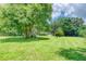 Green grassy backyard, large shade tree, and shed at 37427 Southside Dr, Zephyrhills, FL 33541