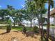 Landscaped front yard with tropical plants and a water feature at 3912 Fontainebleau Dr, Tampa, FL 33634