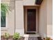 Inviting front door entry with brick walkway and landscaping at 15250 Anguilla Isle Ave, Tampa, FL 33647