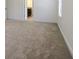 Spacious main bedroom with neutral carpet and natural light at 15250 Anguilla Isle Ave, Tampa, FL 33647