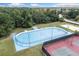 Community hockey rink with rink markings at 15250 Anguilla Isle Ave, Tampa, FL 33647