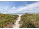 Pathway through dunes to beach with sea oats and grasses at 516 Gulf Blvd, Indian Rocks Beach, FL 33785