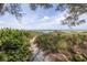 Sandy path to the beach, lined with lush vegetation at 516 Gulf Blvd, Indian Rocks Beach, FL 33785