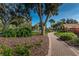 Brick pathway meanders through the lush landscaping at 865 Maclaren N Dr # D, Palm Harbor, FL 34684
