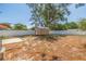 Backyard with shed and a large tree at 135 Se Monroe N Cir, St Petersburg, FL 33703