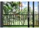 Private balcony overlooking lush tropical landscaping at 3300 Fox Chase N Cir # 231, Palm Harbor, FL 34683