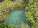 Two well-maintained tennis courts nestled in trees at 3300 Fox Chase N Cir # 231, Palm Harbor, FL 34683