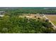 Aerial view of wooded land by a road at 6191 Lockhart Rd, Brooksville, FL 34602