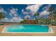 Inviting community pool with a spa and surrounding palm trees at 9028 Lake Chase Island Way, Tampa, FL 33626