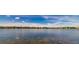 Scenic lake view with waterfront homes and lush vegetation at 9028 Lake Chase Island Way, Tampa, FL 33626