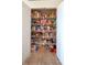 Well-organized pantry with ample shelving for storage at 10177 Sunburst Ct, Spring Hill, FL 34608