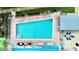 Overhead view of refreshing community pool at 1840 Shore S Dr # 5, South Pasadena, FL 33707