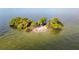 Secluded waterfront island with lush vegetation at 1840 Shore S Dr # 5, South Pasadena, FL 33707