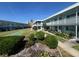 Building exterior view with pool and lawn at 1840 Shore S Dr # 5, South Pasadena, FL 33707