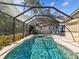 Relaxing screened pool and spa with patio furniture at 3047 Enisglen Dr, Palm Harbor, FL 34683