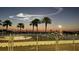 Night view of a marina with palm trees under a unique sky at 6220 5Th S Ave, St Petersburg, FL 33707