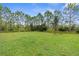 Lush green backyard with mature trees, offering privacy and a natural setting at 32924 Estate Garden Dr, Wesley Chapel, FL 33545