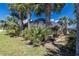 Lush backyard featuring mature palm trees and a screened-in pool enclosure, creating a private outdoor retreat at 181 Sportsman Rd, Rotonda West, FL 33947