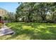 Spacious, well-maintained backyard features lush green grass and a large shade tree at 4301 Hudson Ln, Tampa, FL 33618