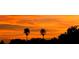 Breathtaking sunset with silhouetted palm trees, showcasing the beauty of the natural surroundings at 3124 Pond Hollow St # 183, Wesley Chapel, FL 33543