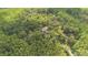 Secluded home surrounded by lush greenery and mature trees, nestled in a private woodland haven at 11933 Pasco Trails Blvd, Spring Hill, FL 34610