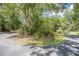 Circular driveway featuring lush landscaping and mature trees at 11933 Pasco Trails Blvd, Spring Hill, FL 34610