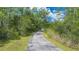 Long private driveway surrounded by lush trees and greenery at 11933 Pasco Trails Blvd, Spring Hill, FL 34610