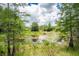 Beautiful pond abundant with lily pads surrounded by lush greenery and towering trees at 11933 Pasco Trails Blvd, Spring Hill, FL 34610