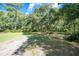 Serene outdoor setting with mature trees providing ample shade and a peaceful, natural landscape at 11933 Pasco Trails Blvd, Spring Hill, FL 34610