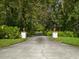 Long, tree-lined driveway leading to property entrance, offering privacy at 6049 Patricia Pl, Weeki Wachee, FL 34607