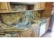 Kitchen counter featuring wood cabinetry, stainless steel sink, and a granite countertop at 1873 Mazo Mnr # T5, Lutz, FL 33558
