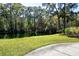 Relaxing pond view with mature trees and manicured lawn at 1873 Mazo Mnr # T5, Lutz, FL 33558