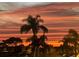 Palm trees silhouetted against a vibrant orange and pink sunset sky at 13753 Judy Ave, Hudson, FL 34667