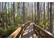 A wooden walkway winds through a tranquil forest at 21312 Preservation Dr, Land O Lakes, FL 34638
