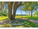 Round tree swing under large oak tree in spacious backyard at 19351 Yontz Rd, Brooksville, FL 34601